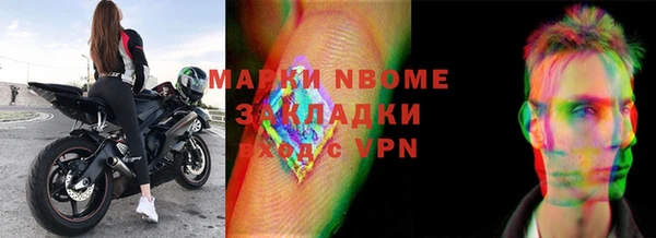 ПСИЛОЦИБИНОВЫЕ ГРИБЫ Горняк