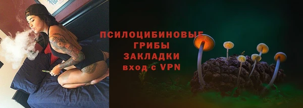амф Горно-Алтайск