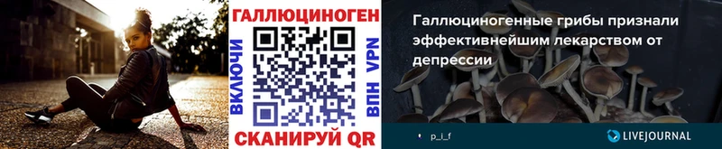 Псилоцибиновые грибы GOLDEN TEACHER  купить   Кисловодск 